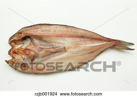 Mackerel View Large Photo Image Picture - Mackerel. Fotosearch