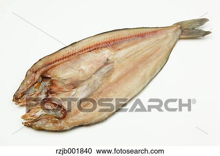 Mackerel View Large Photo Image Stock Image - Mackerel. Fotosearch