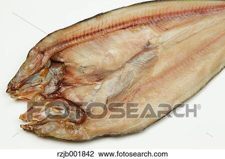 Mackerel View Large Photo Image Stock Image - Mackerel. Fotosearch
