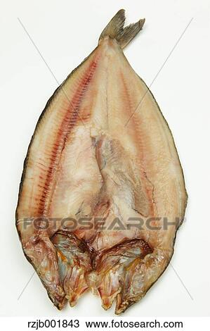 Mackerel View Large Photo Image Stock Image - Mackerel. Fotosearch