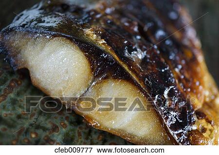 Mackerel View Large Photo Image Stock Photo - Mackerel. Fotosearch