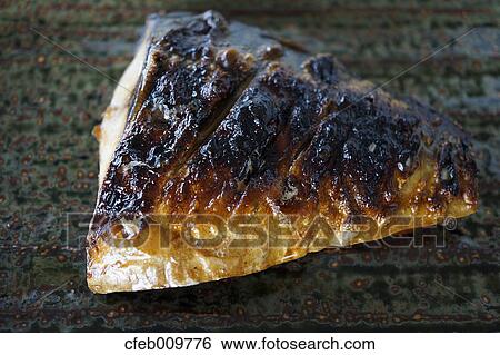 Mackerel View Large Photo Image Stock Photograph - Mackerel. Fotosearch
