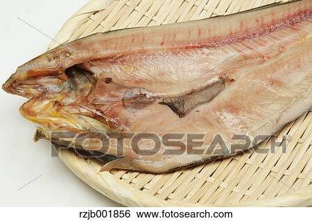 Stock Photograph - Mackerel. Fotosearch