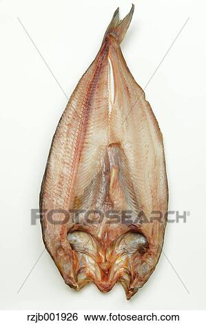 Mackerel View Large Photo Image Stock Photograph - Mackerel. Fotosearch