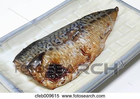 Mackerel View Large Photo Image Stock Photography - Mackerel. Fotosearch