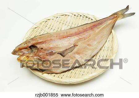 Mackerel View Large Photo Image Stock Photography - Mackerel. Fotosearch