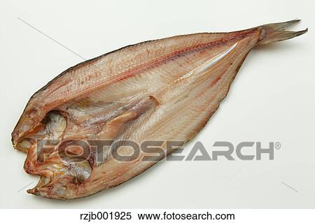 Stock Photography - Mackerel. Fotosearch