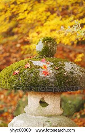 Maple leaves and stone Lantern View Large Photo Image Stock Image - Maple leaves and stone Lantern. Fotosearch