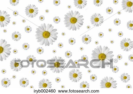 Margarets View Large Photo Image Stock Image - Margarets. Fotosearch