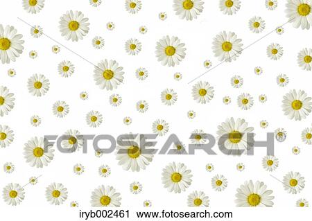 Margarets View Large Photo Image Stock Image - Margarets. Fotosearch