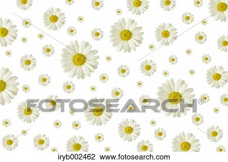 Margarets View Large Photo Image Stock Image - Margarets. Fotosearch