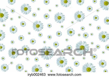 Margarets View Large Photo Image Stock Image - Margarets. Fotosearch