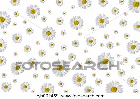 Margarets View Large Photo Image Stock Photo - Margarets. Fotosearch