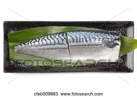 Marinated mackerel View Large Photo Image Stock Image - Marinated mackerel. Fotosearch