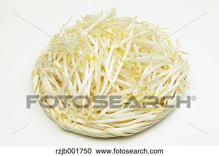 Mung Bean Sprouts View Large Photo Image Stock Image - Mung Bean Sprouts. Fotosearch