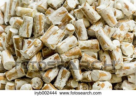 Mushrooms View Large Photo Image Picture - Mushrooms. Fotosearch