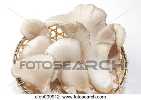 Mushrooms View Large Photo Image Stock Image - Mushrooms. Fotosearch