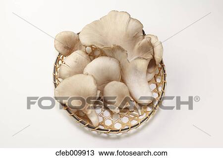 Mushrooms View Large Photo Image Stock Image - Mushrooms. Fotosearch