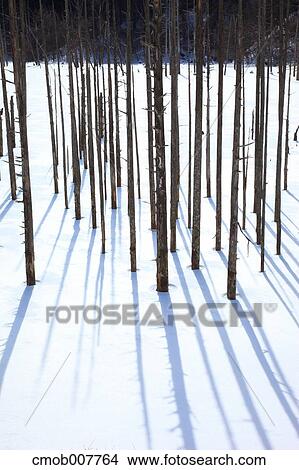 Nagano Prefecture, Japan View Large Photo Image Picture - Nagano Prefecture, Japan. Fotosearch