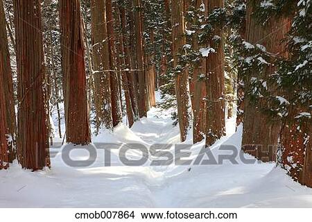 Nagano Prefecture, Japan View Large Photo Image Picture - Nagano Prefecture, Japan. Fotosearch