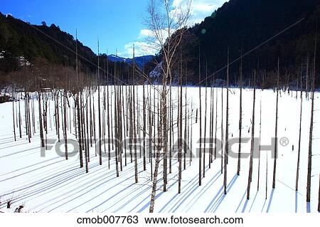 Nagano Prefecture, Japan View Large Photo Image Stock Image - Nagano Prefecture, Japan. Fotosearch