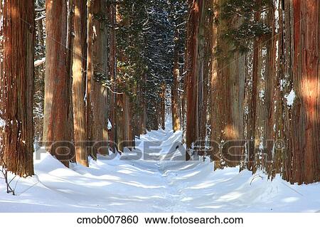 Stock Image - Nagano Prefecture, Japan. Fotosearch