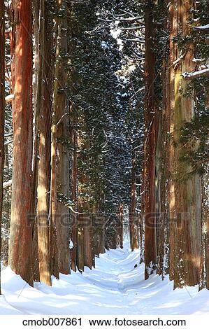 Nagano Prefecture, Japan View Large Photo Image Stock Image - Nagano Prefecture, Japan. Fotosearch