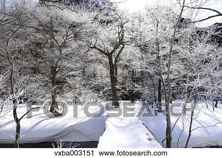 Nagano Prefecture, Japan View Large Photo Image Stock Image - Nagano Prefecture, Japan. Fotosearch