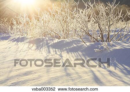 Nagano Prefecture, Japan View Large Photo Image Stock Image - Nagano Prefecture, Japan. Fotosearch