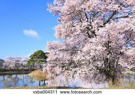 Stock Image - Nagano Prefecture, Japan. Fotosearch