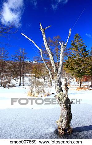 Nagano Prefecture, Japan View Large Photo Image Stock Photo - Nagano Prefecture, Japan. Fotosearch