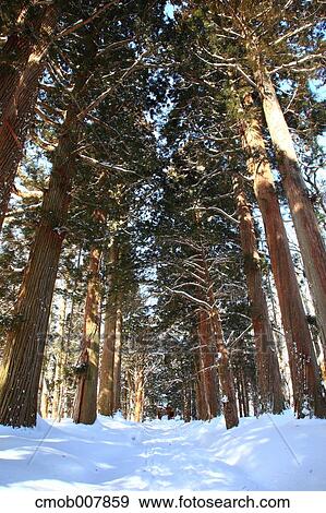 Stock Photo - Nagano Prefecture, Japan. Fotosearch