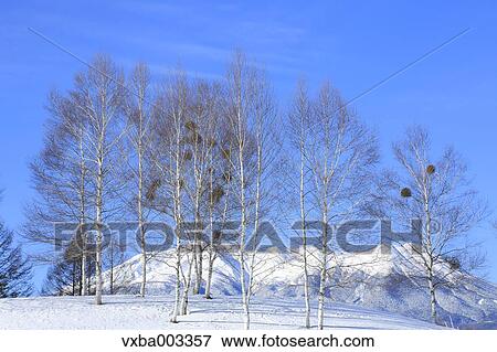 Nagano Prefecture, Japan View Large Photo Image Stock Photo - Nagano Prefecture, Japan. Fotosearch