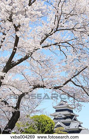 Nagano Prefecture, Japan View Large Photo Image Stock Photo - Nagano Prefecture, Japan. Fotosearch