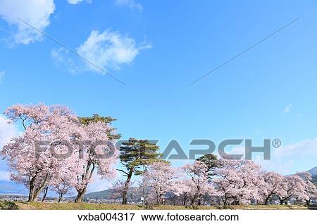 Nagano Prefecture, Japan View Large Photo Image Stock Photo - Nagano Prefecture, Japan. Fotosearch