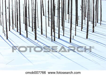Nagano Prefecture, Japan View Large Photo Image Stock Photograph - Nagano Prefecture, Japan. Fotosearch