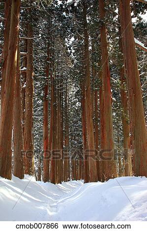 Nagano Prefecture, Japan View Large Photo Image Stock Photograph - Nagano Prefecture, Japan. Fotosearch