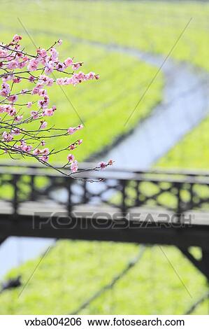 Nagano Prefecture, Japan View Large Photo Image Stock Photograph - Nagano Prefecture, Japan. Fotosearch