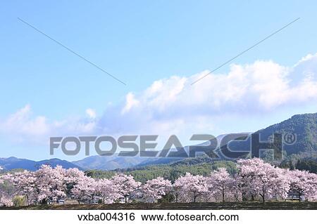 Stock Photograph - Nagano Prefecture, Japan. Fotosearch