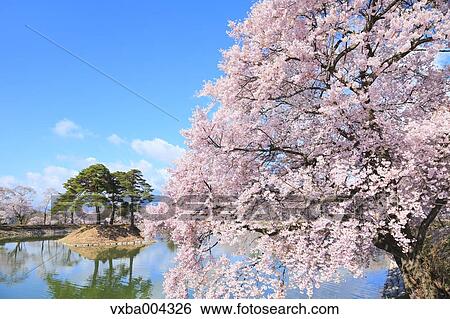 Nagano Prefecture, Japan View Large Photo Image Stock Photograph - Nagano Prefecture, Japan. Fotosearch