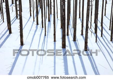 Nagano Prefecture, Japan View Large Photo Image Stock Photography - Nagano Prefecture, Japan. Fotosearch