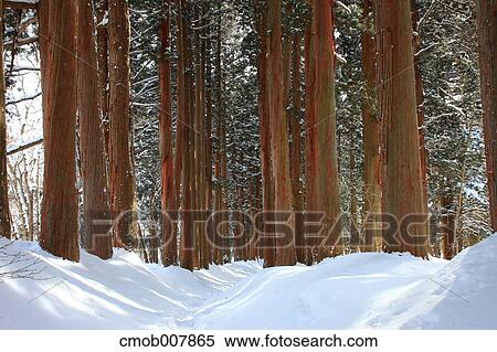Nagano Prefecture, Japan View Large Photo Image Stock Photography - Nagano Prefecture, Japan. Fotosearch