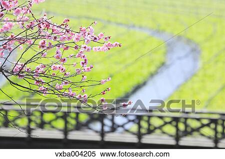 Nagano Prefecture, Japan View Large Photo Image Stock Photography - Nagano Prefecture, Japan. Fotosearch