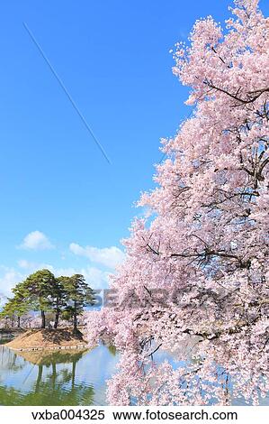 Nagano Prefecture, Japan View Large Photo Image Stock Photography - Nagano Prefecture, Japan. Fotosearch