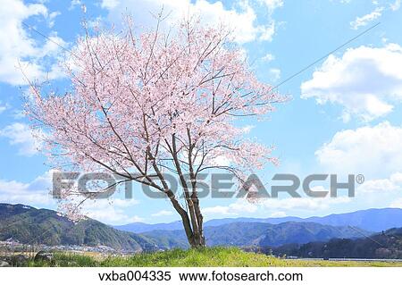 Stock Photography - Nagano Prefecture, Japan. Fotosearch