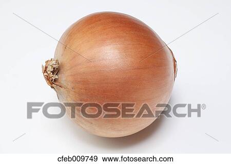 Onion View Large Photo Image Stock Photo - Onion. Fotosearch