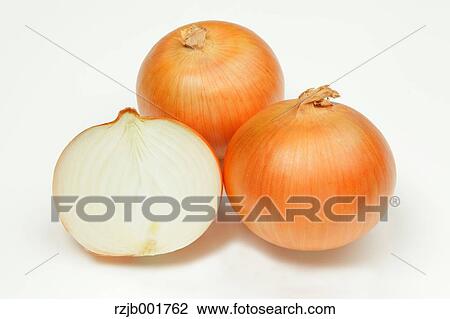 Onions View Large Photo Image Stock Image - Onions. Fotosearch
