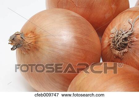 Onions View Large Photo Image Stock Photo - Onions. Fotosearch