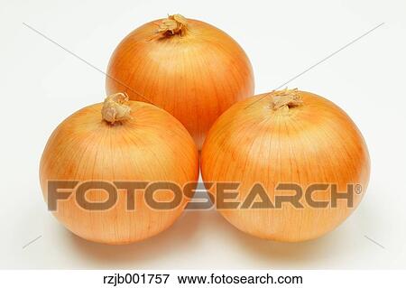 Onions View Large Photo Image Stock Photo - Onions. Fotosearch
