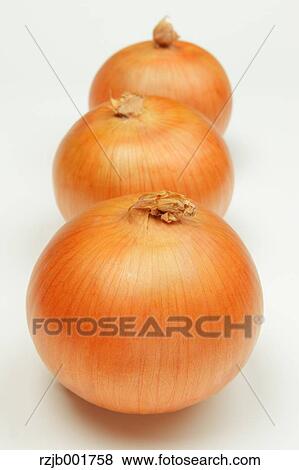 Stock Photo - Onions. Fotosearch
